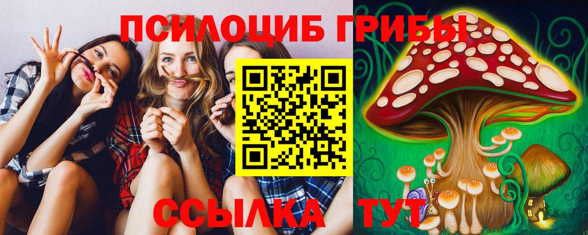 Галлюциногенные грибы Psilocybine cubensis  Вход с VPN  Анжеро-Судженск  Галлюциногенные грибы ЛСД 